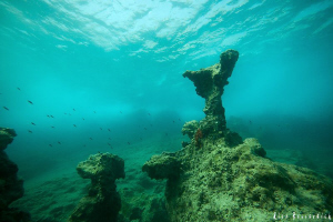 Mediterenean reef on a wavy afternoon. CANON 40d with Sig... by Rico Besserdich 